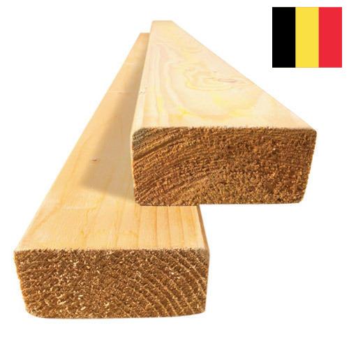 Опилки древесные из Бельгии