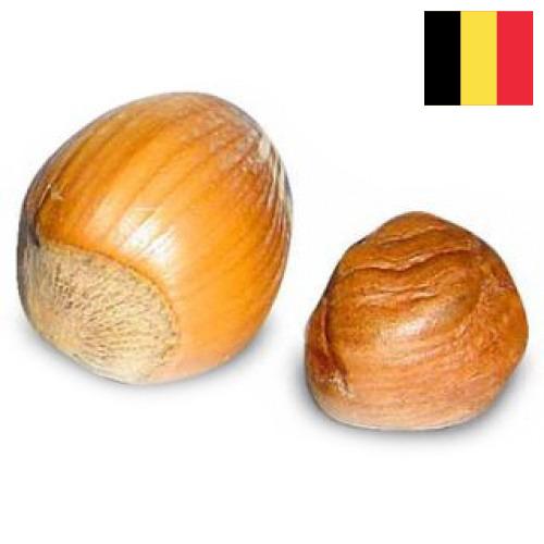 орех фундук из Бельгии