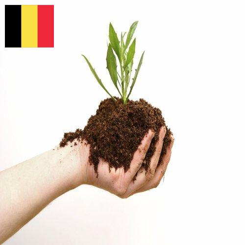 Органические удобрения из Бельгии