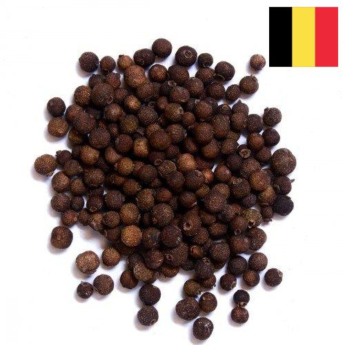 Перец душистый из Бельгии