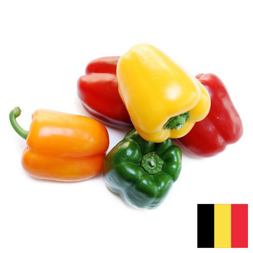 перец сладкий свежий из Бельгии