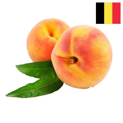 Персики из Бельгии