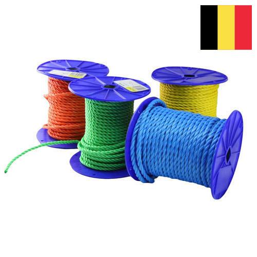 Полипропилены из Бельгии