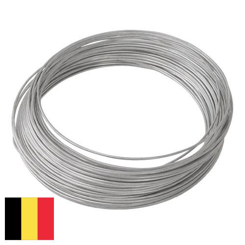 Проволока оцинкованная из Бельгии