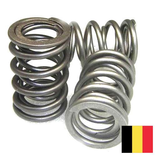 Пружина клапана из Бельгии
