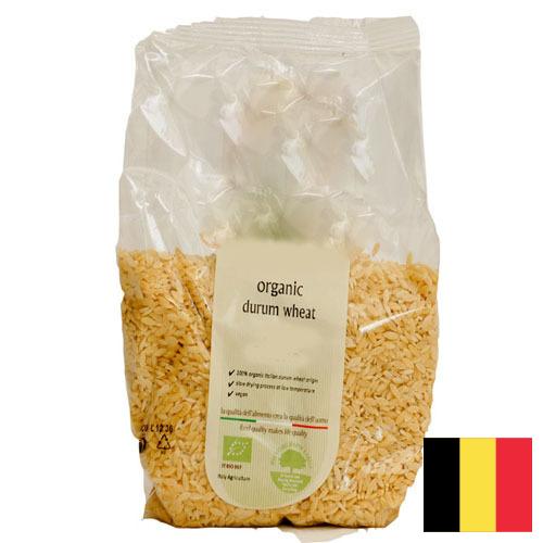 пшеница твердая из Бельгии