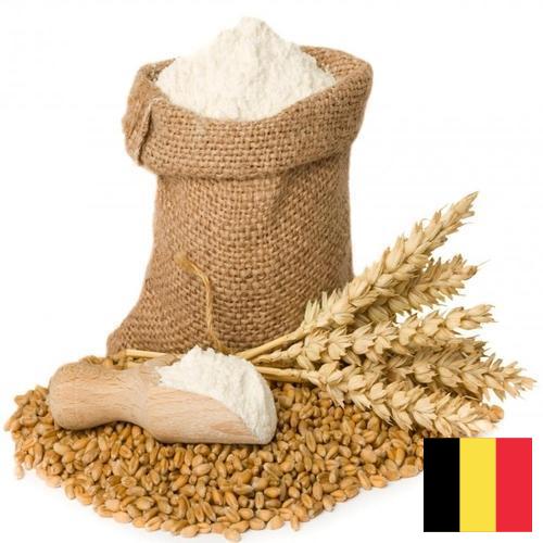 Пшеничная мука из Бельгии