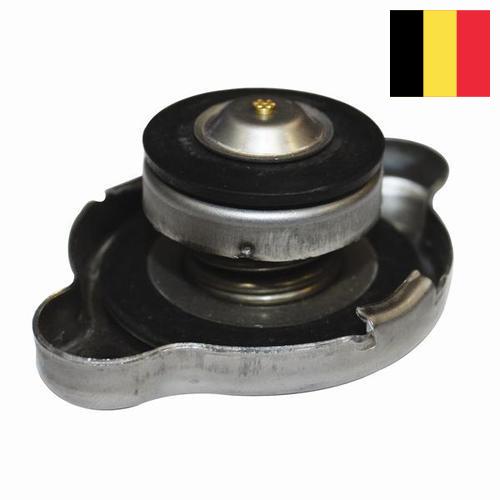 Решетка радиатора из Бельгии