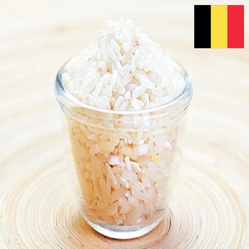 рис шлифованный из Бельгии