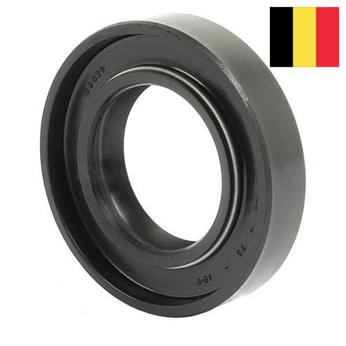 Сальник редуктора из Бельгии