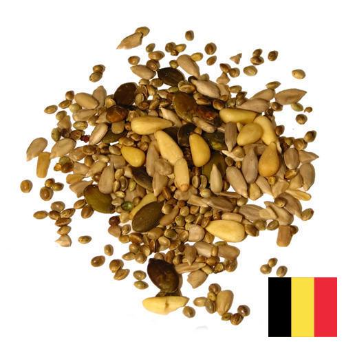 Семечки из Бельгии
