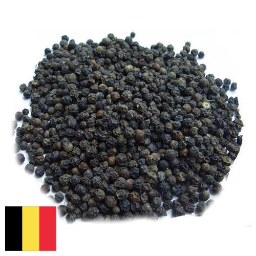 Семена перца из Бельгии