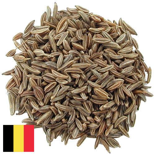 Семена тмина из Бельгии