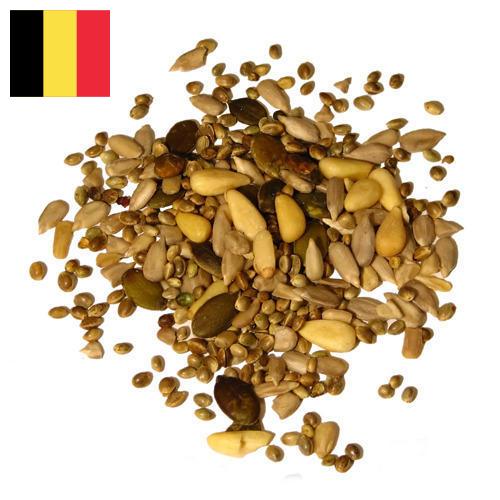 Семена из Бельгии