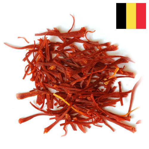 Шафран из Бельгии