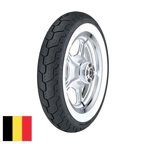 шины мотоцикла из Бельгии