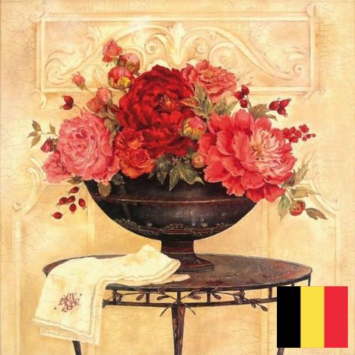 Шторы декоративные из Бельгии