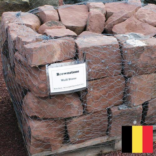 Скумбрия из Бельгии