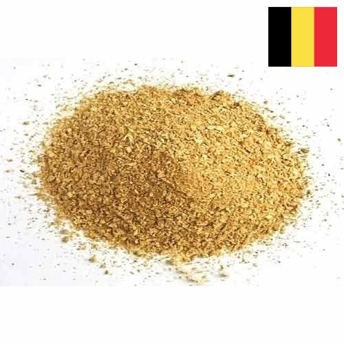 Соевая мука из Бельгии