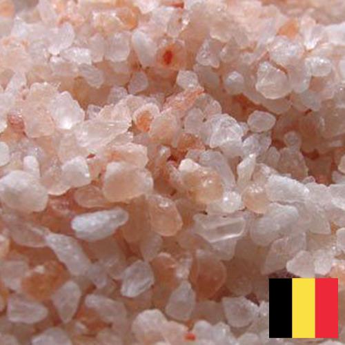 соль каменная из Бельгии