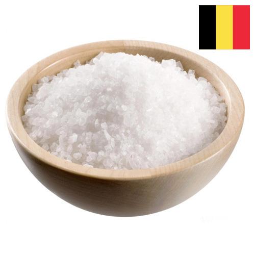 Соль промышленная из Бельгии