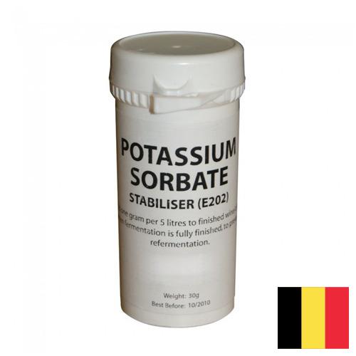 Сорбат калия из Бельгии