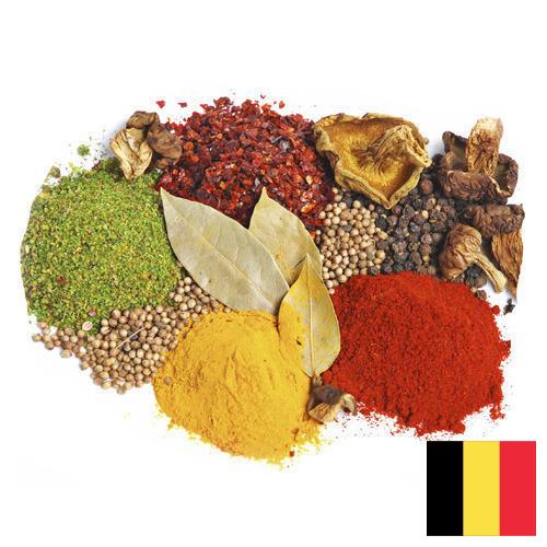 Специи и пряности из Бельгии
