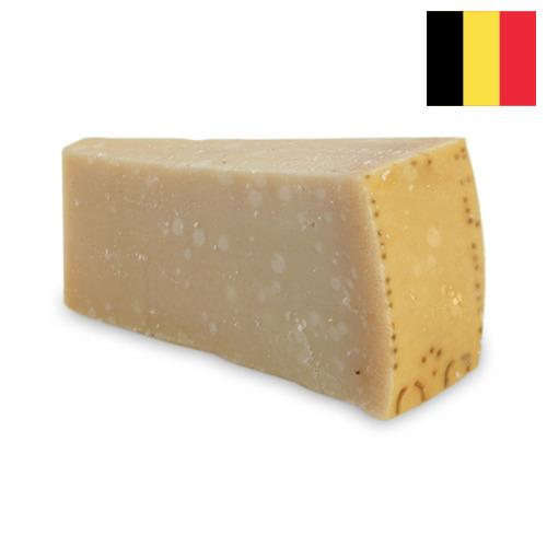 сыр пармезан из Бельгии