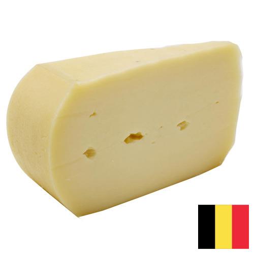 Сыры полутвёрдые из Бельгии
