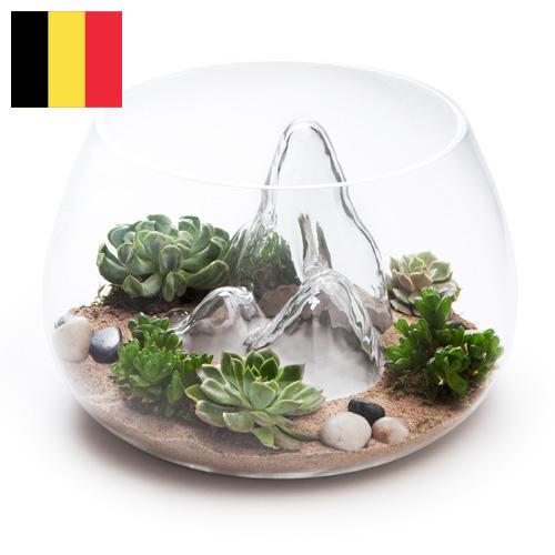 Террариумы из Бельгии