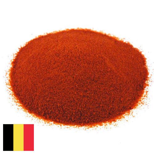 Томатный порошок из Бельгии