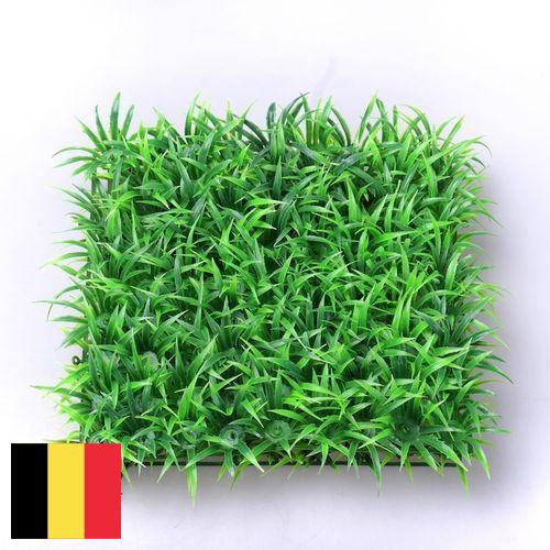 Трава искусственная из Бельгии