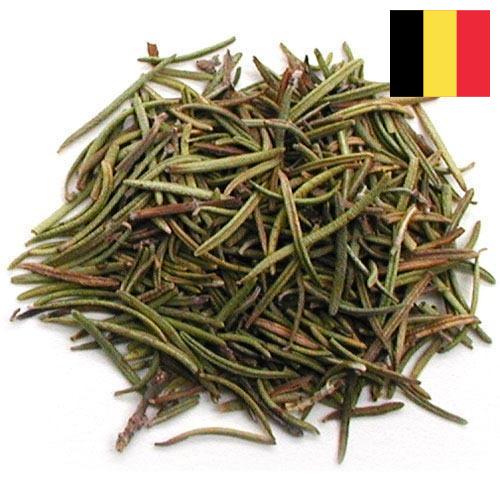 Травы сушеные из Бельгии