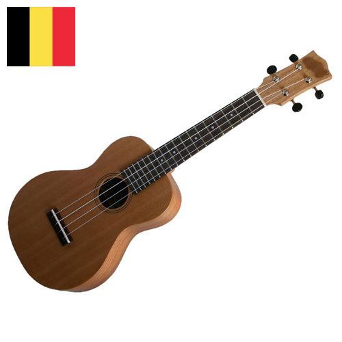 Укулеле из Бельгии