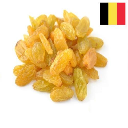 виноград сушеный из Бельгии