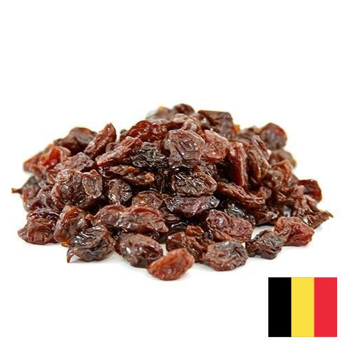 Вишня сушеная из Бельгии