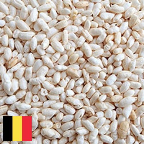Воздушный рис из Бельгии