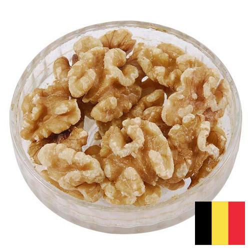 Ядра орехов из Бельгии