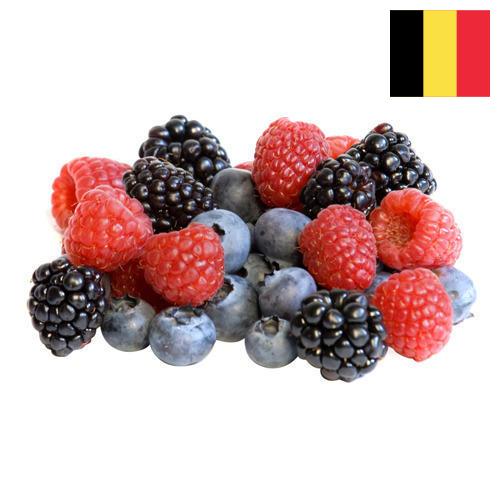 Ягоды замороженные из Бельгии