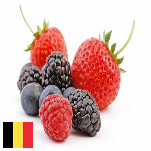 Ягоды из Бельгии