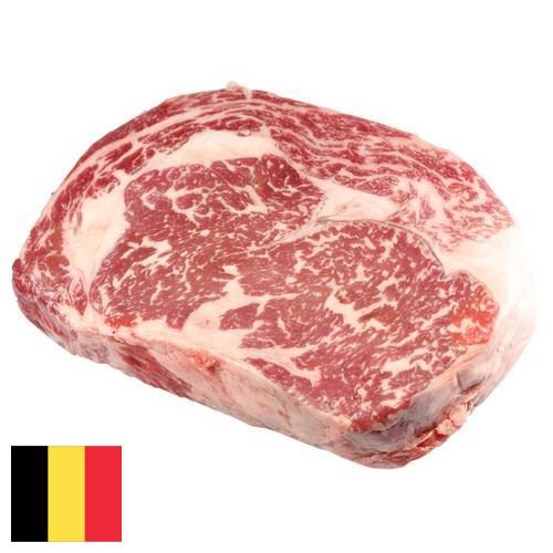 замороженного мясо из Бельгии