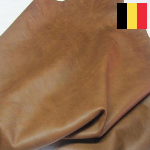 Замша из Бельгии