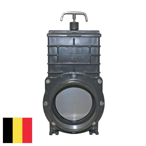 Золотник из Бельгии