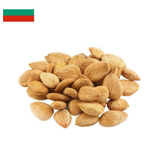 Абрикосовые косточки из Болгарии