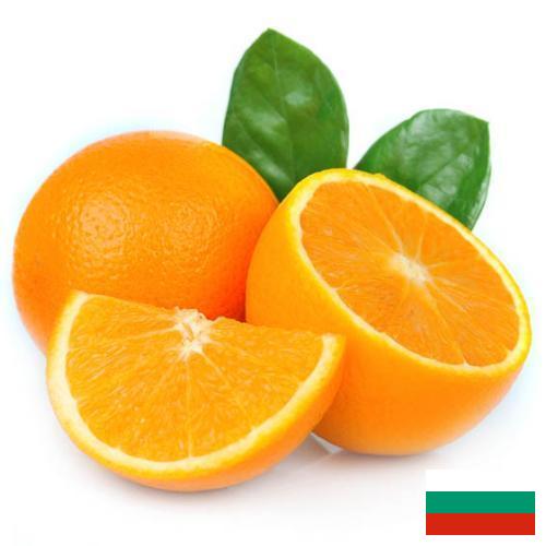 апельсины свежие из Болгарии