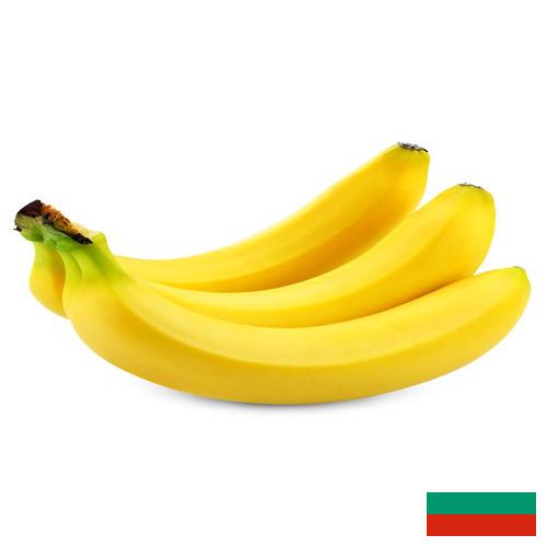 Бананы из Болгарии