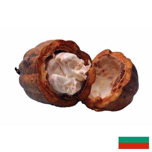 Какао масло из Болгарии