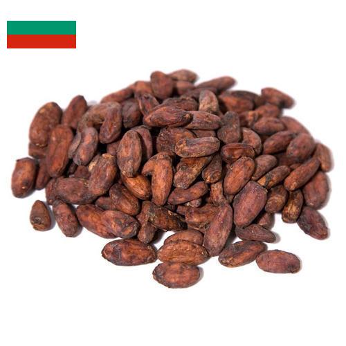 какао-бобы из Болгарии