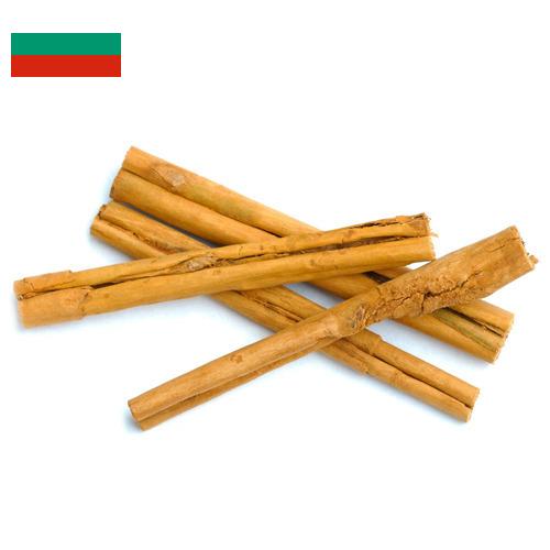 Корица из Болгарии
