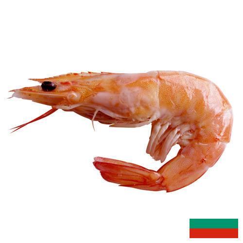 Креветки из Болгарии
